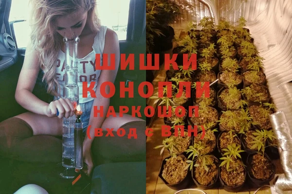 дурь Мегион