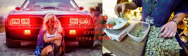 прущая мука Медногорск