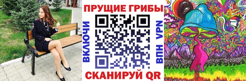 Псилоцибиновые грибы Psilocybine cubensis  Бирск 