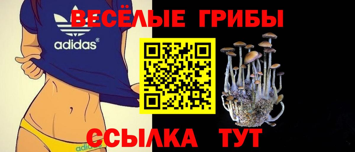 Бирск  Псилоцибиновые грибы MAGIC MUSHROOMS  Вход с VPN 